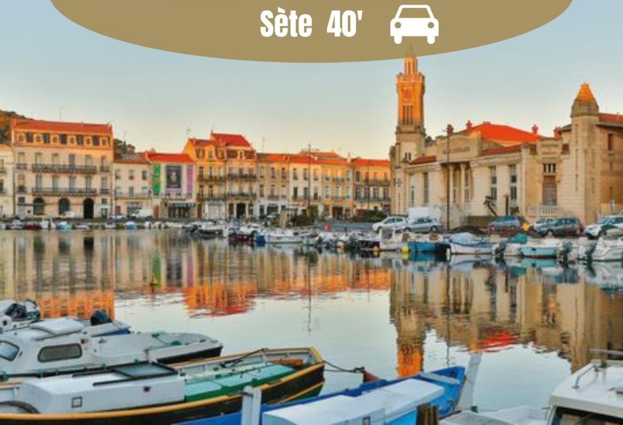 La Casita - Confort Avec Terrasse Et Parking Prive- Motte, Montpellier